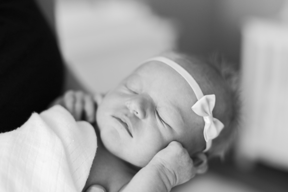 Megan Ann Photography | Newborns | Harper Jean