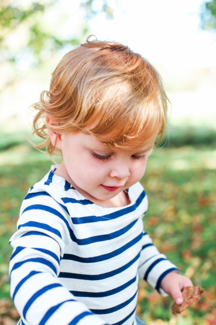 Megan Ann Photography | Family | Bosch Family