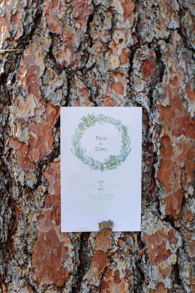 Megan Ann Photography | Weddings | Cora & Neal