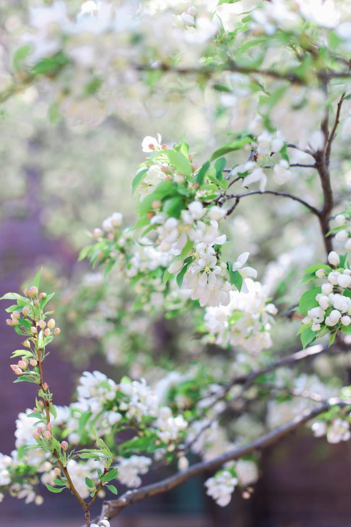 Megan Ann Photography | Weddings | Brenda & Sam